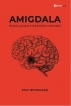 AMIGDALA: Perjalanan Merepresi Memori